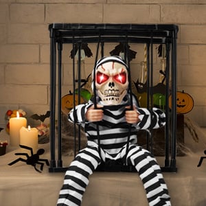 Motion Sensor Skeleton Halloween Decoration